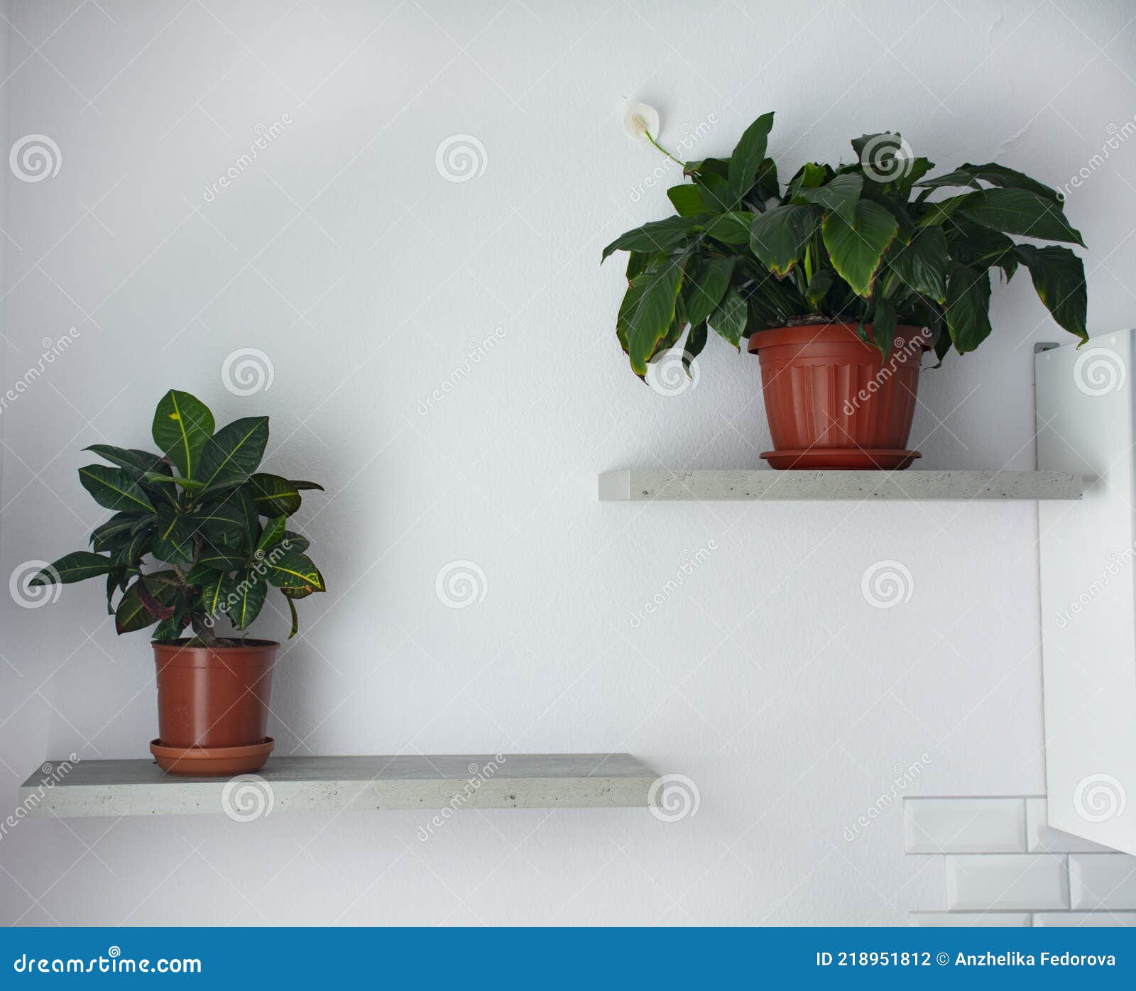 homemade potted flowers stand on shelves on the stine. minimalism in the  of the apartment