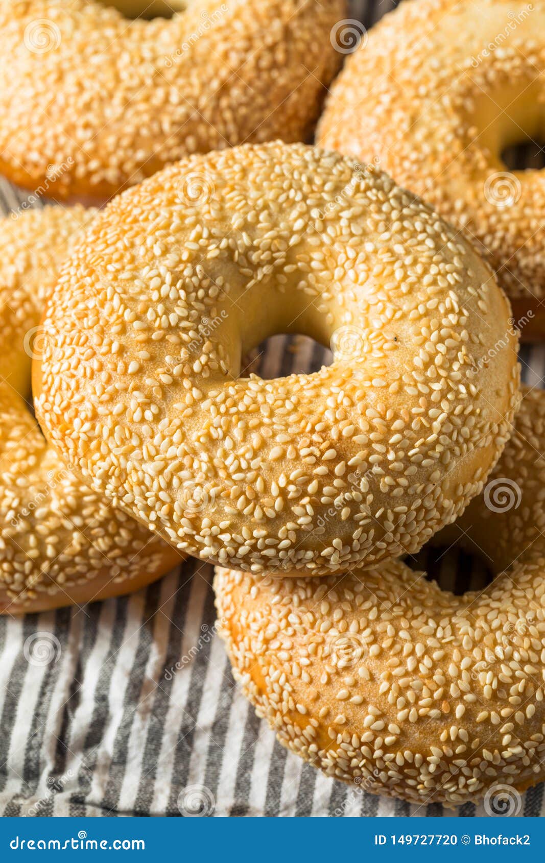 Homemade Sesame Seed Bagels Stock Photo Image of tasty, bread 149727720