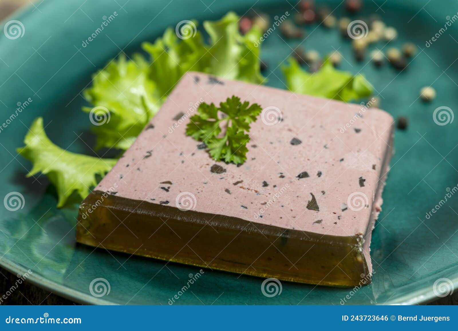 Homemade terrine stock photo. Image of appetizing, gras 243723646