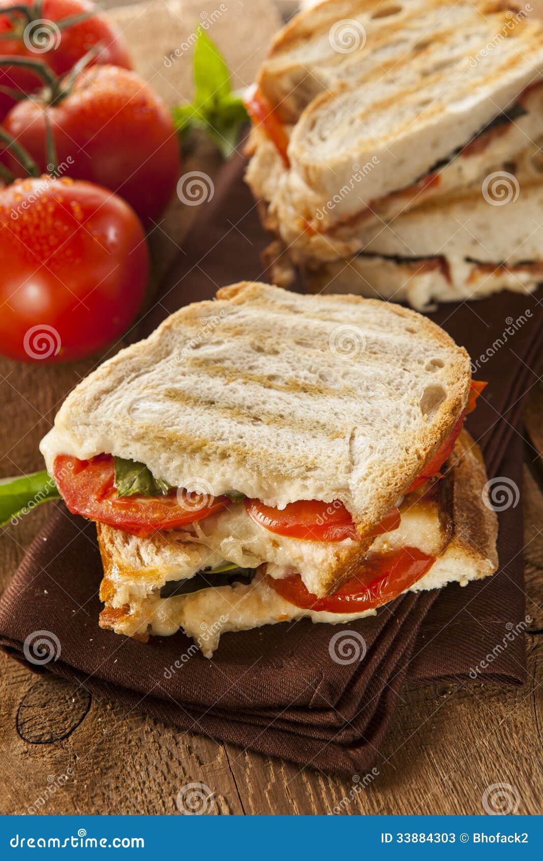 Homemade Tomato and Mozzarella Panini Stock Image Image of tomato