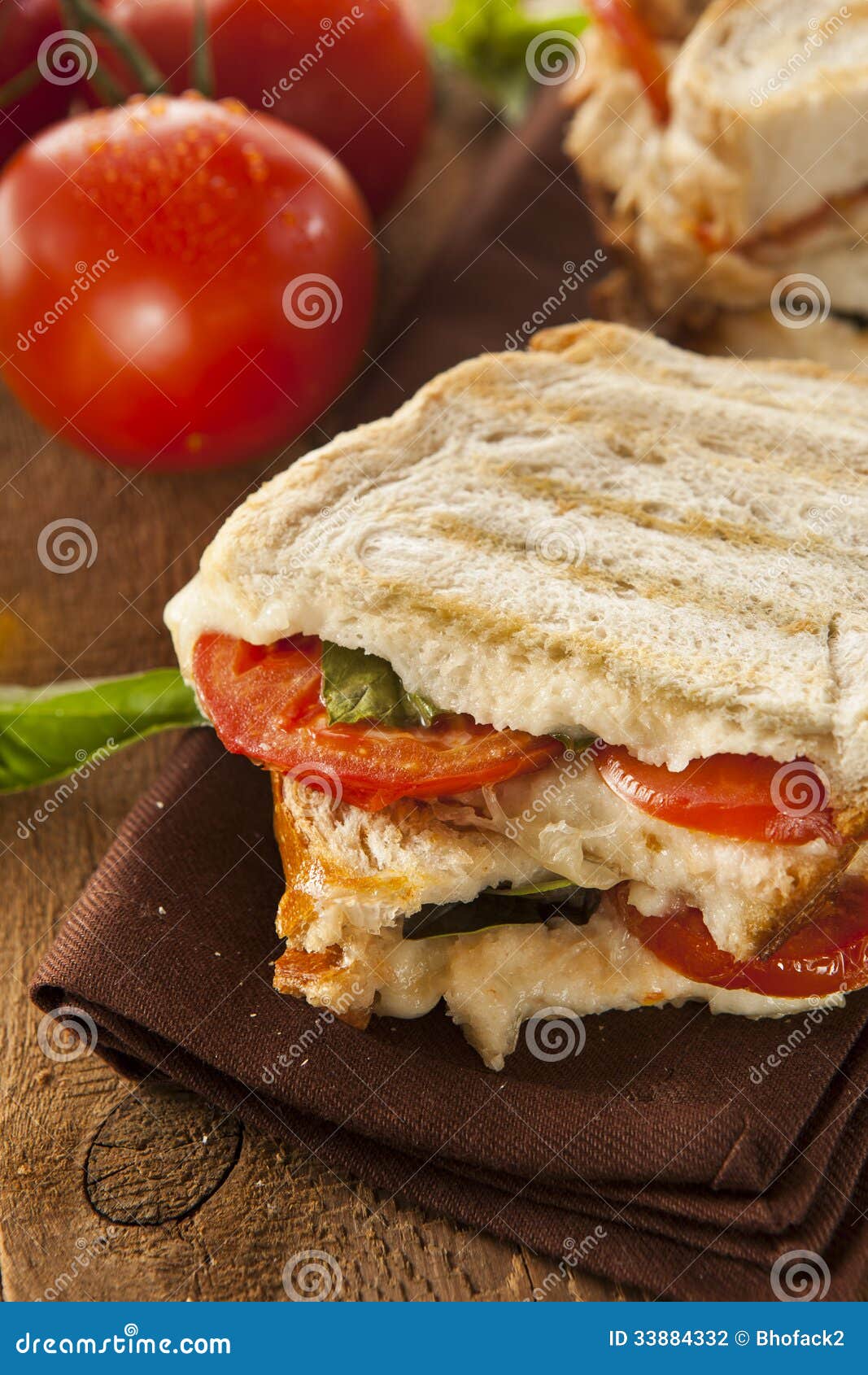 Homemade Tomato and Mozzarella Panini Stock Photo Image of tomato
