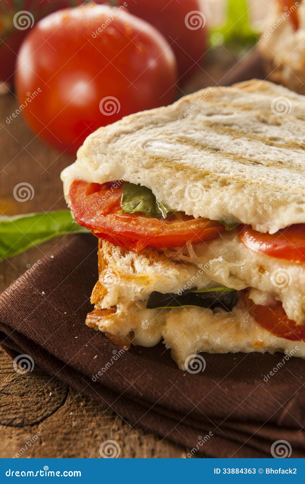 Homemade Tomato and Mozzarella Panini Stock Image Image of lunch