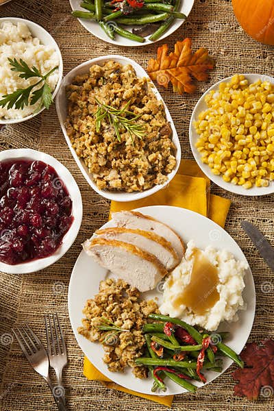Homemade Turkey Thanksgiving Dinner Stock Photo - Image of garnished ...