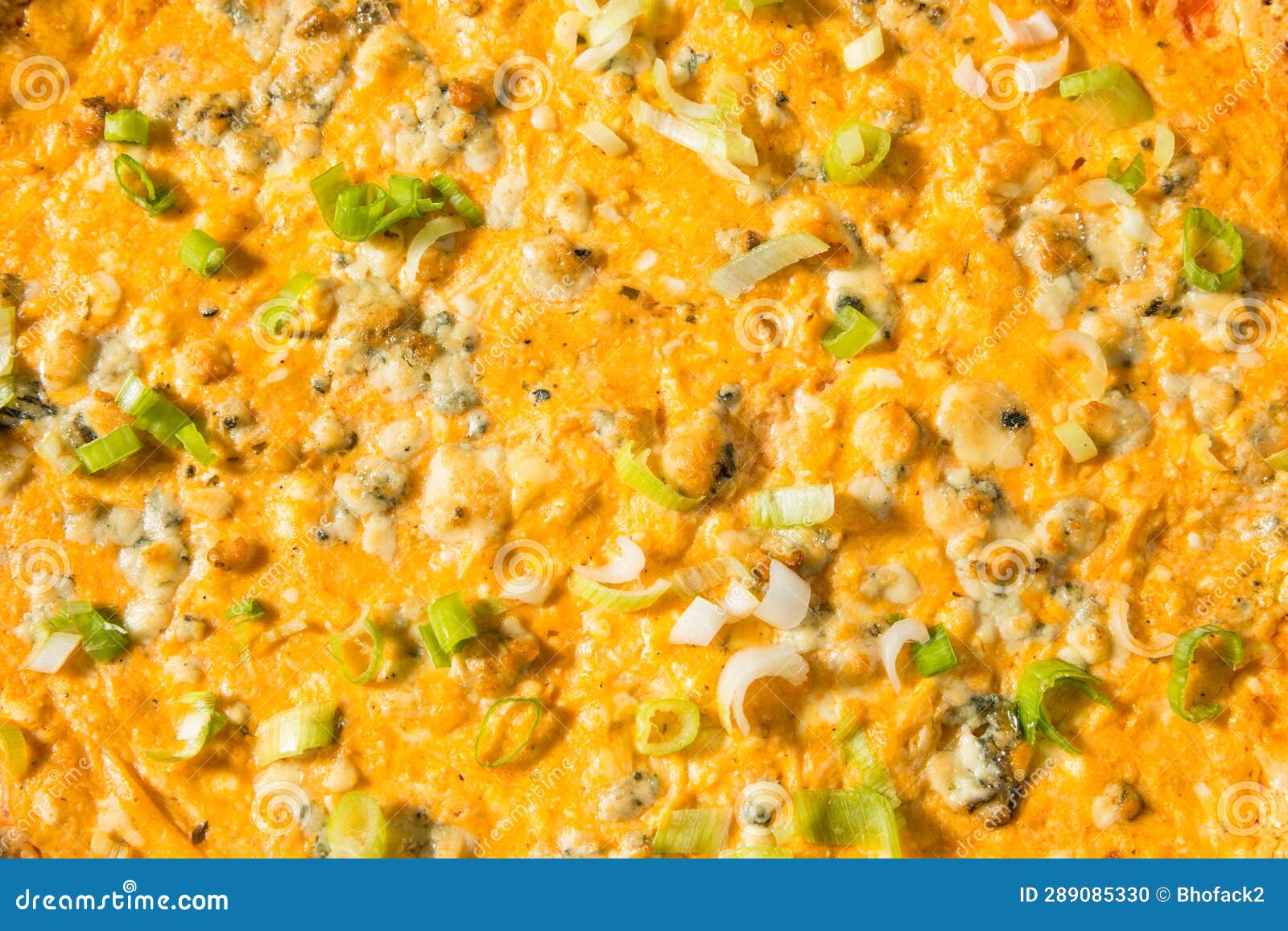Homemade Warm Buffalo Chicken Dip Stock Photo Image of barbecue