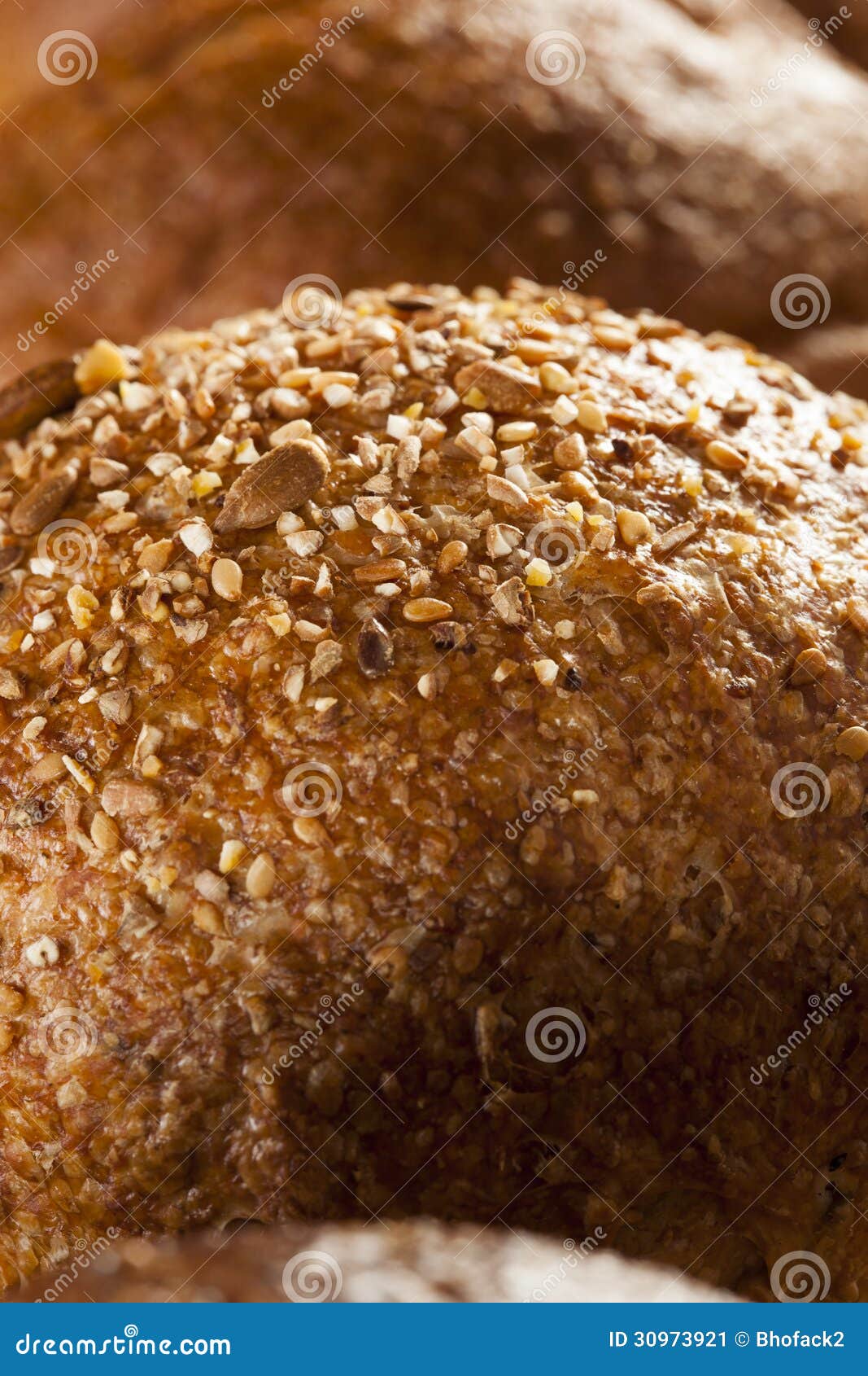 Homemade Whole Grain Dinner Rolls Stock Image Image of dinner, brown