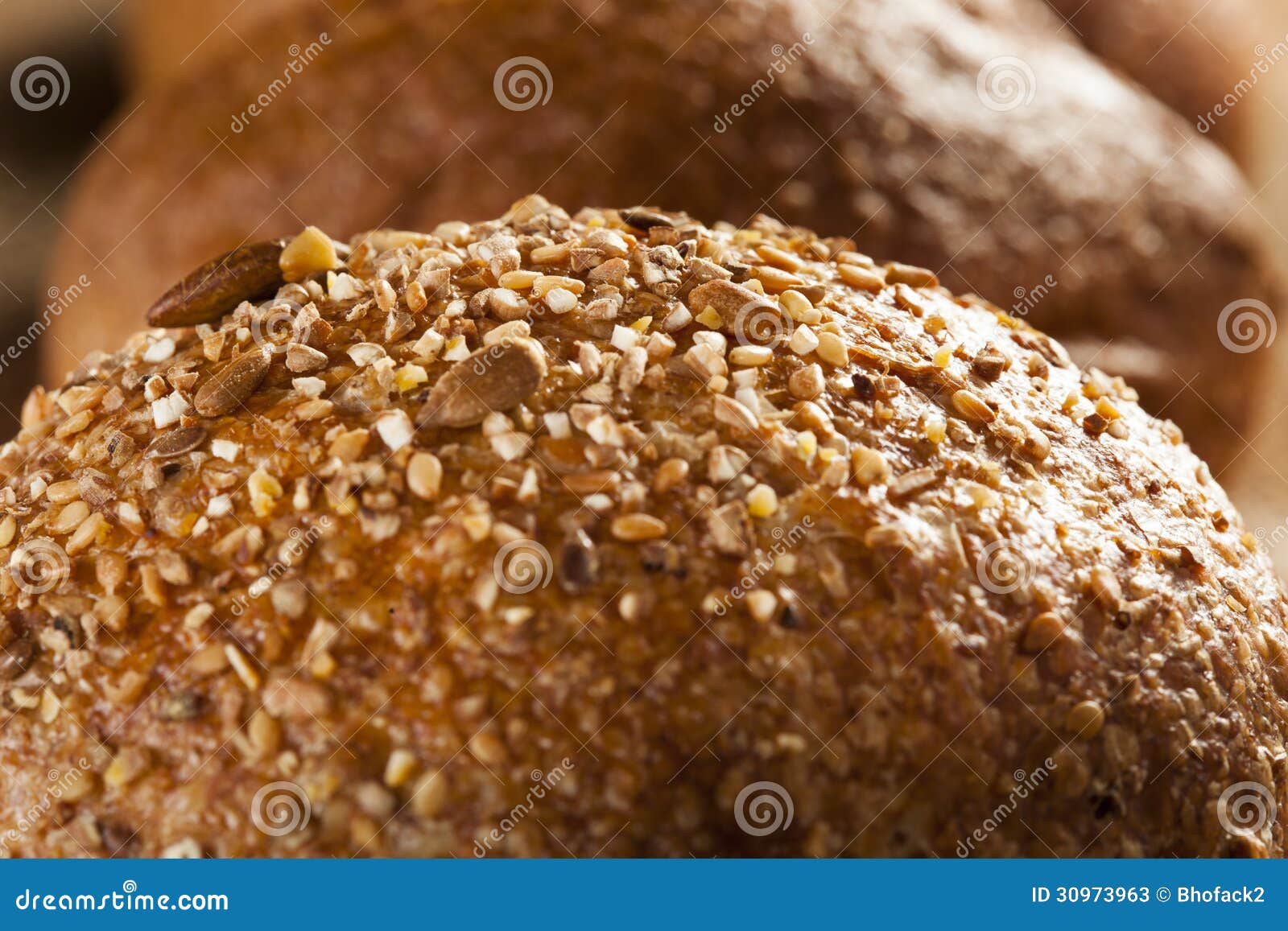 Homemade Whole Grain Dinner Rolls Stock Image Image of baked, bakery