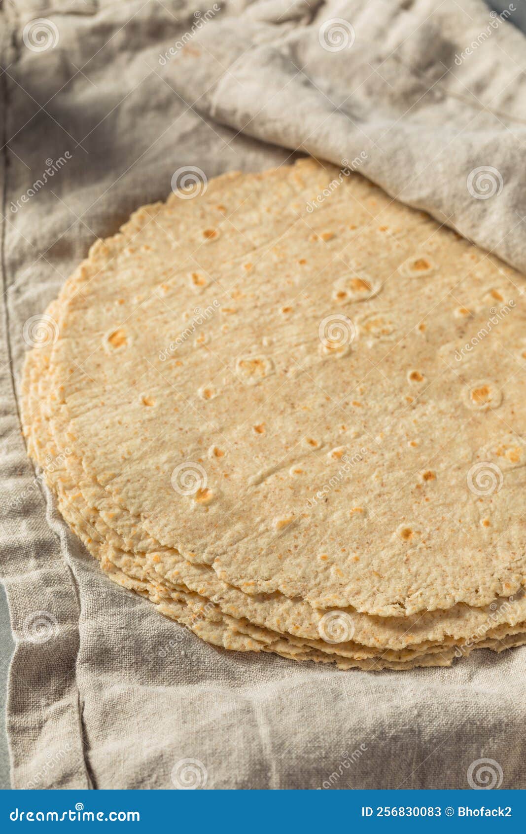 Homemade Whole Wheat Tortillas Stock Image Image of white, healthy