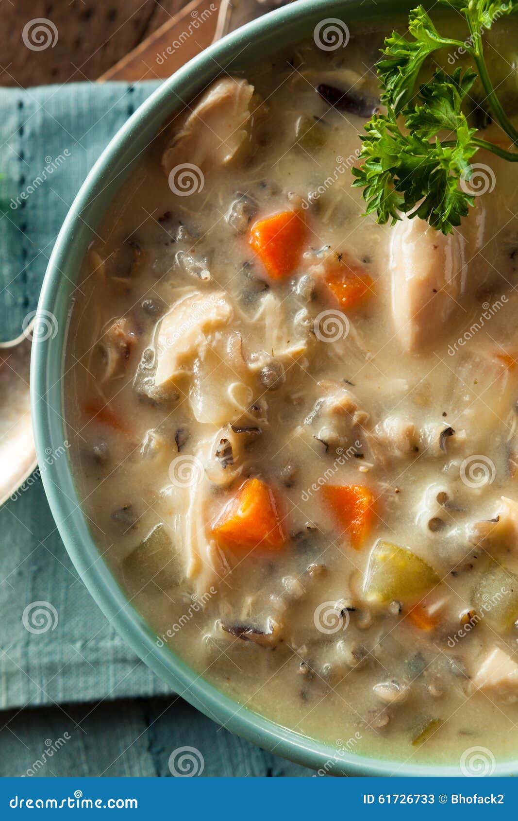 Homemade Wild Rice and Chicken Soup Stock Image Image of chicken