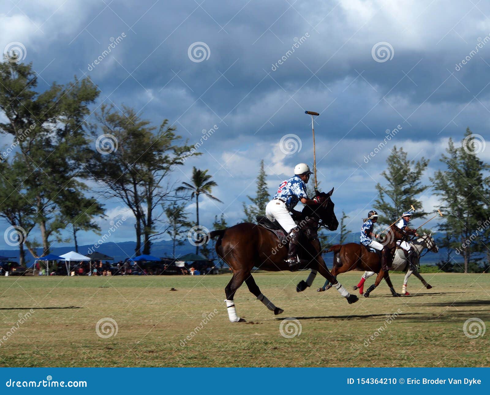 Foto de Cavalos De Polo e mais fotos de stock de Jogo de Polo