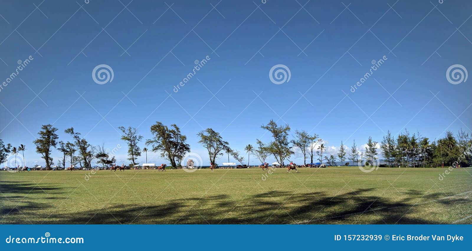 Foto de Cavalos De Polo e mais fotos de stock de Jogo de Polo