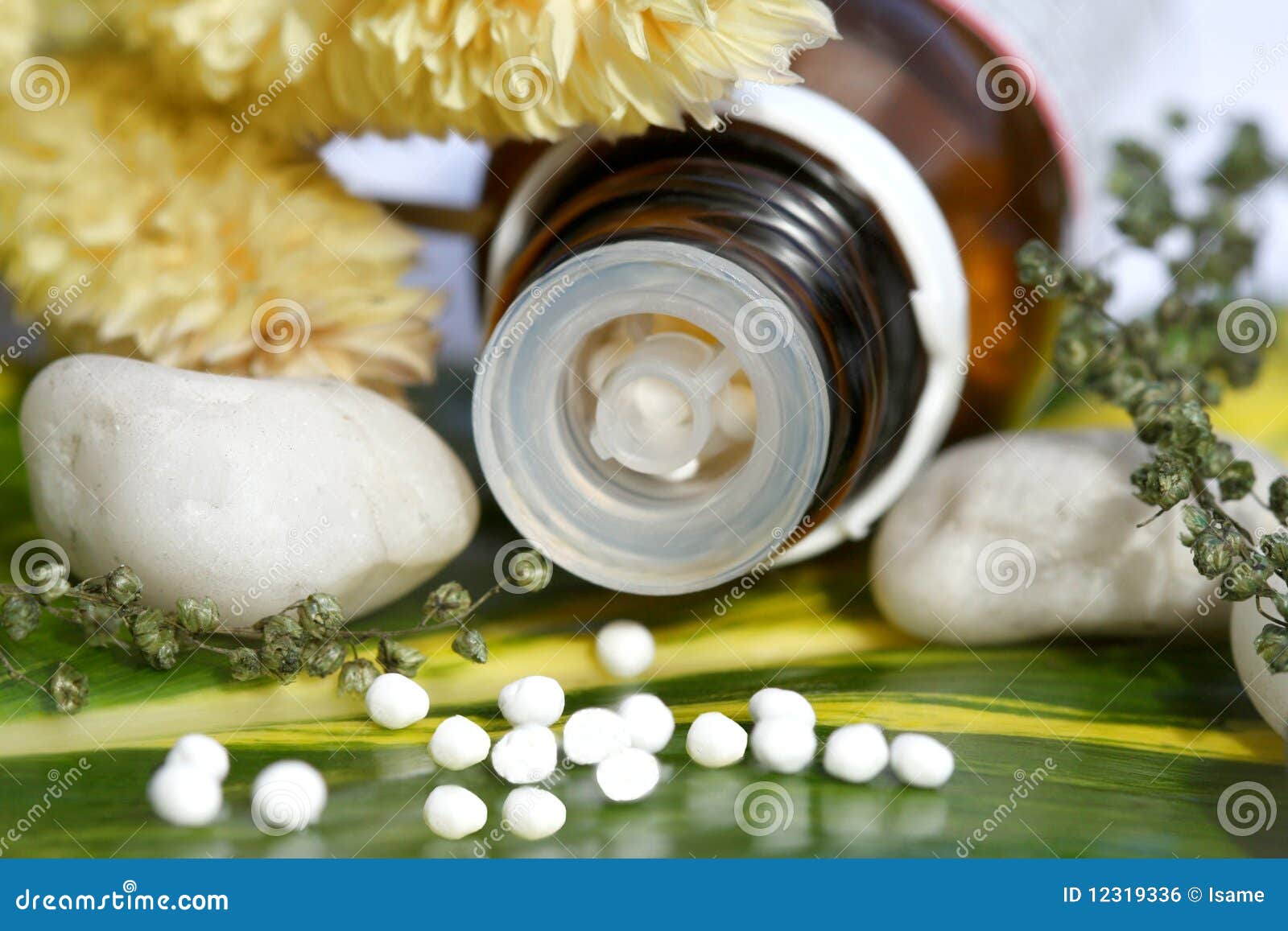 homeopathic pills over a green leaf