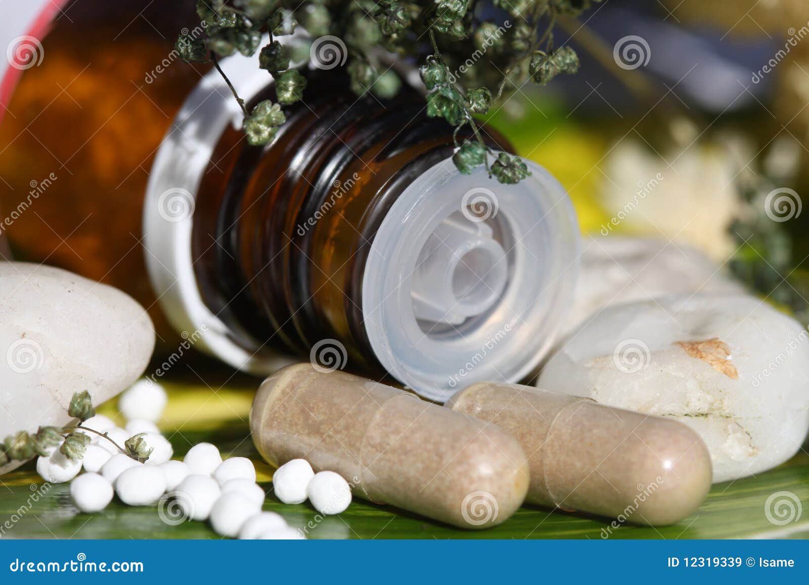 homeopathic pills over a green leaf