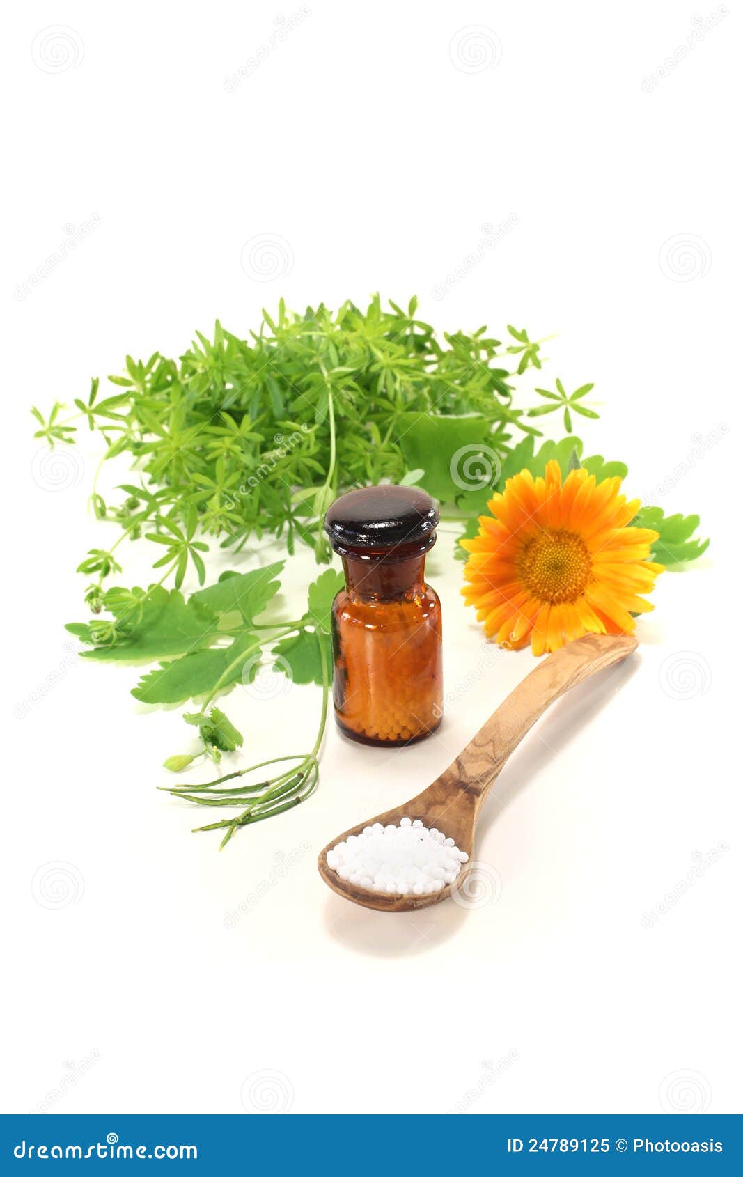Homeopathy stock image. Image of ingredients, herbal 24789125