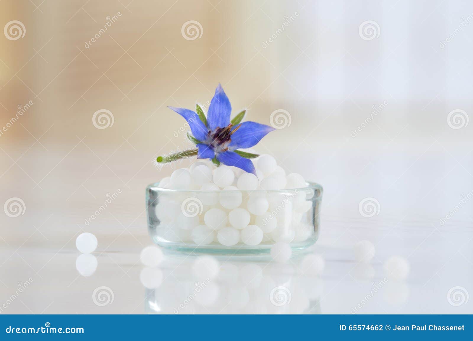 homeopathy globules with borage flower