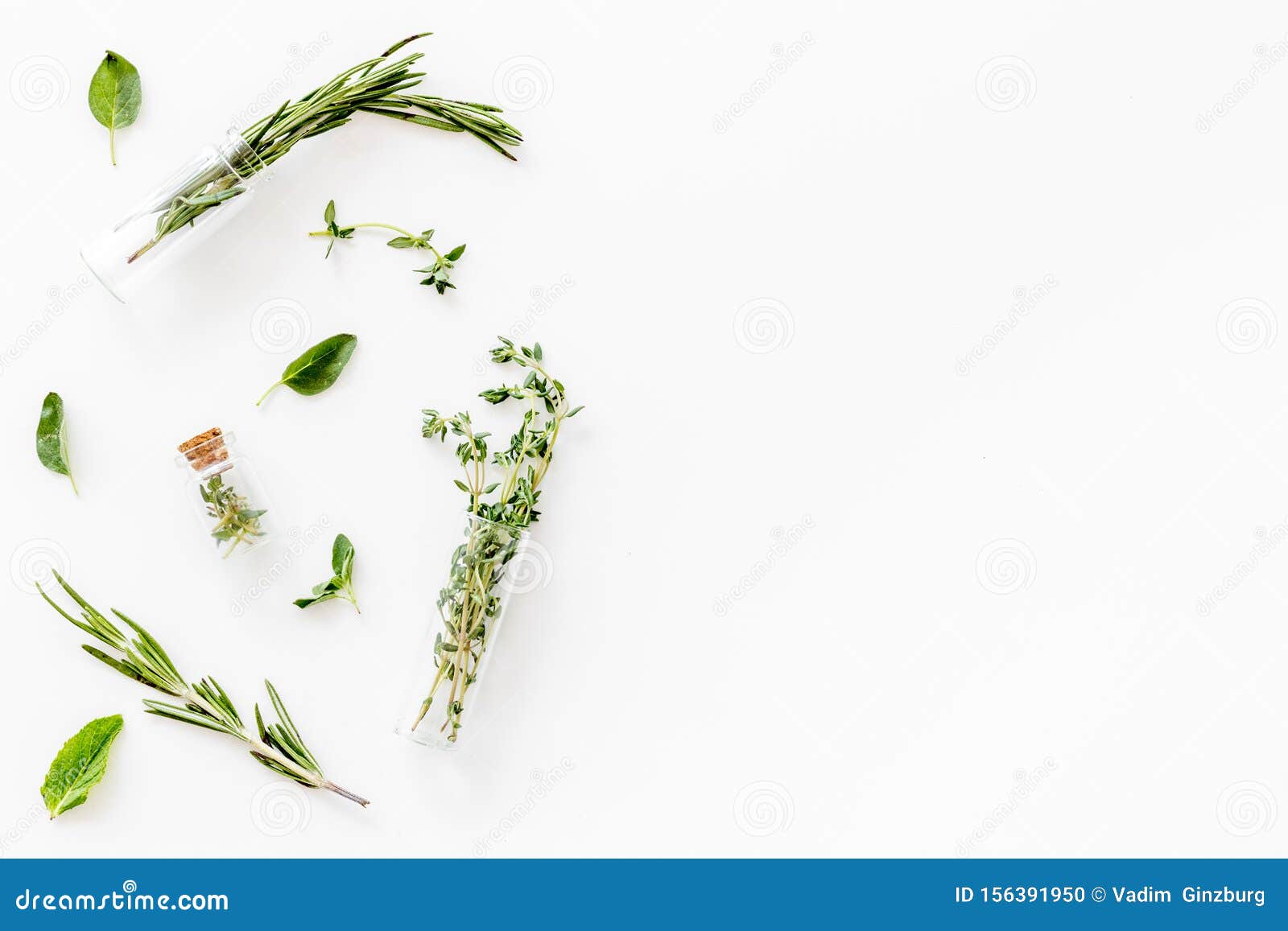 Homeopathy with Leaves and Healing Herbs on White Background Top View ...