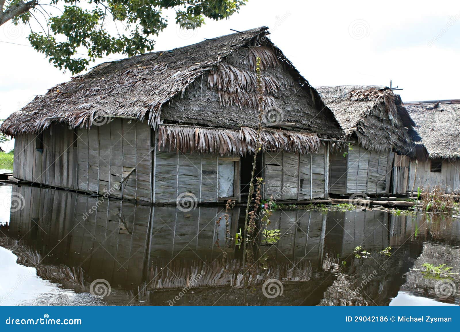 Homes in Belen Peru stock photo. Image of plank, iquitos 29042186