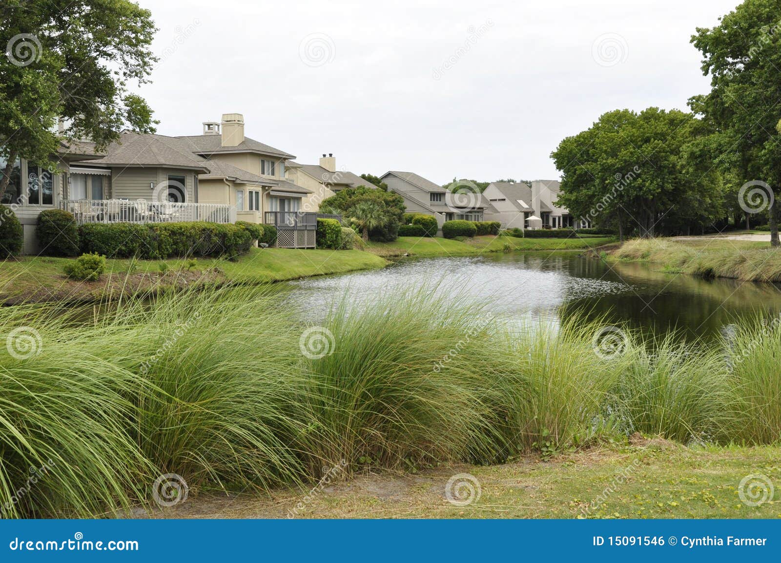 Homes by pond stock photo. Image of carolina, home, still 15091546