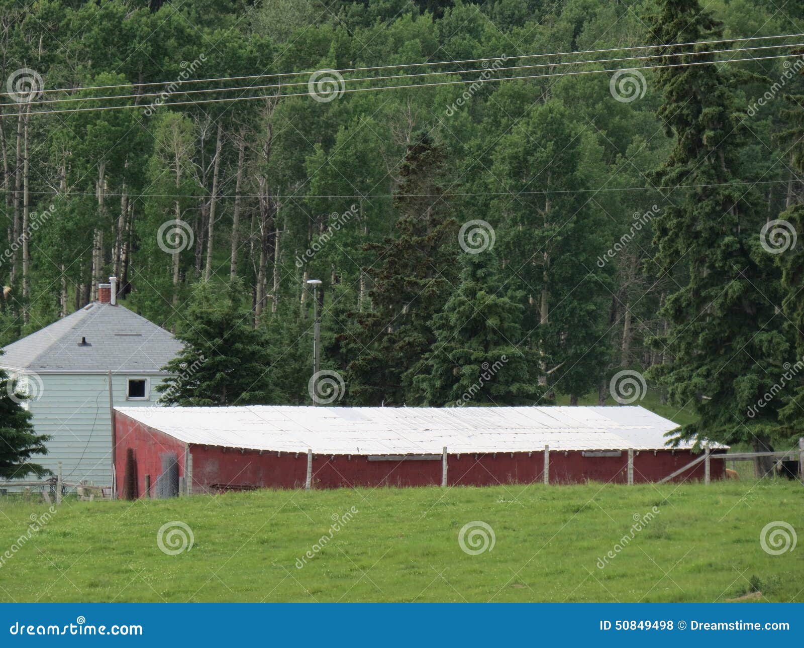 Homestead , Sundre AB stock photo. Image of house, meadow 50849498