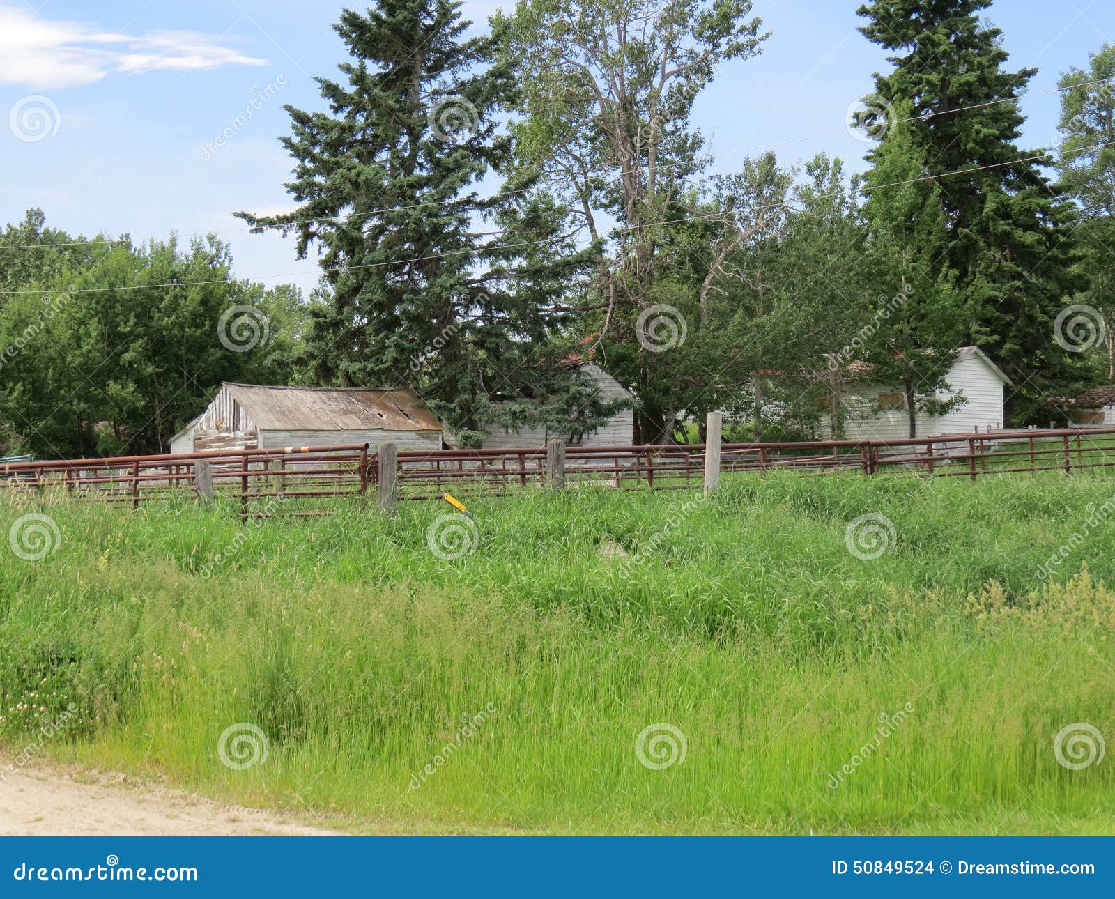 Homestead , Sundre AB stock photo. Image of grassland 50849524