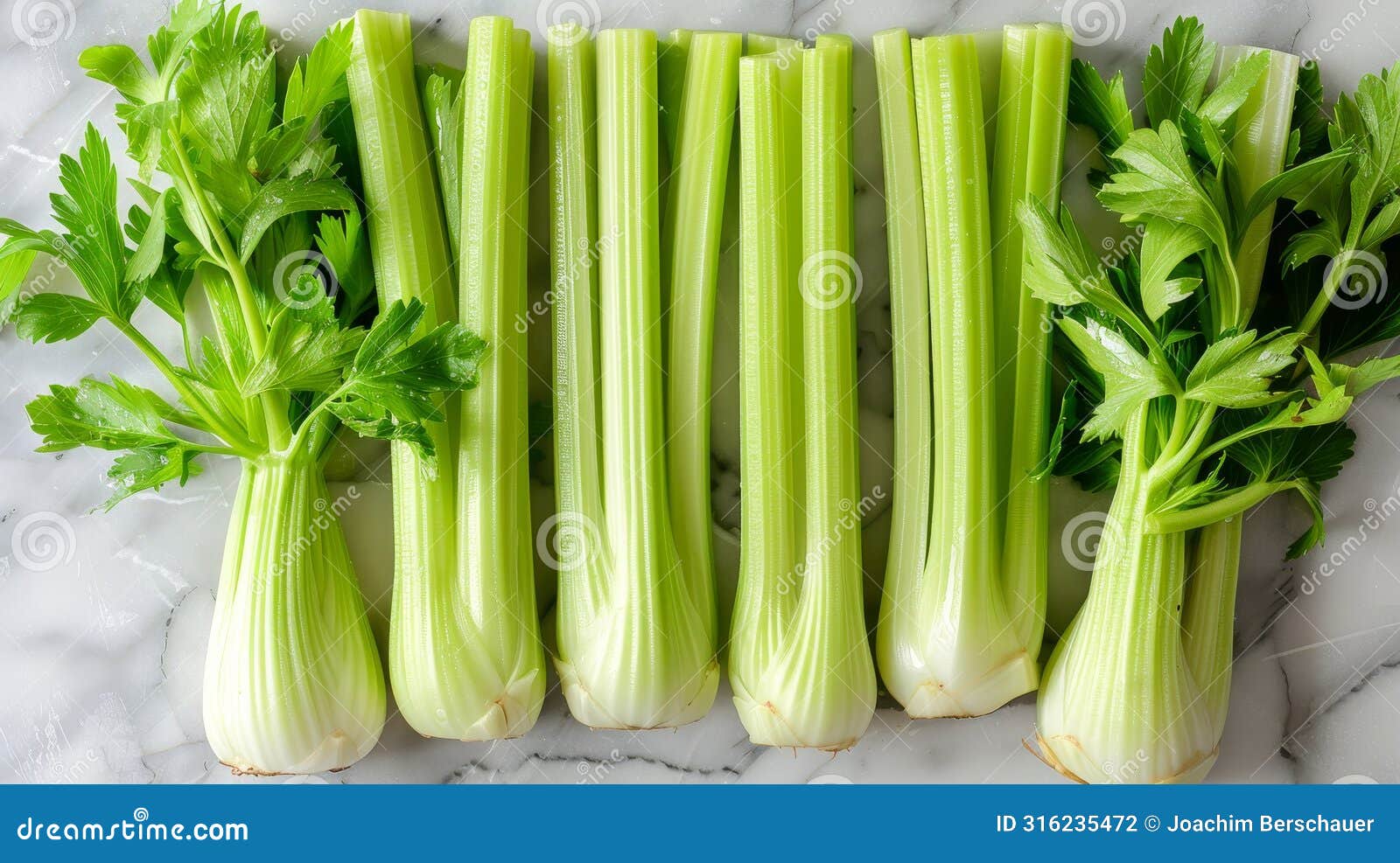 homey celery still life in soft light, captured realistically in calming neutral tones