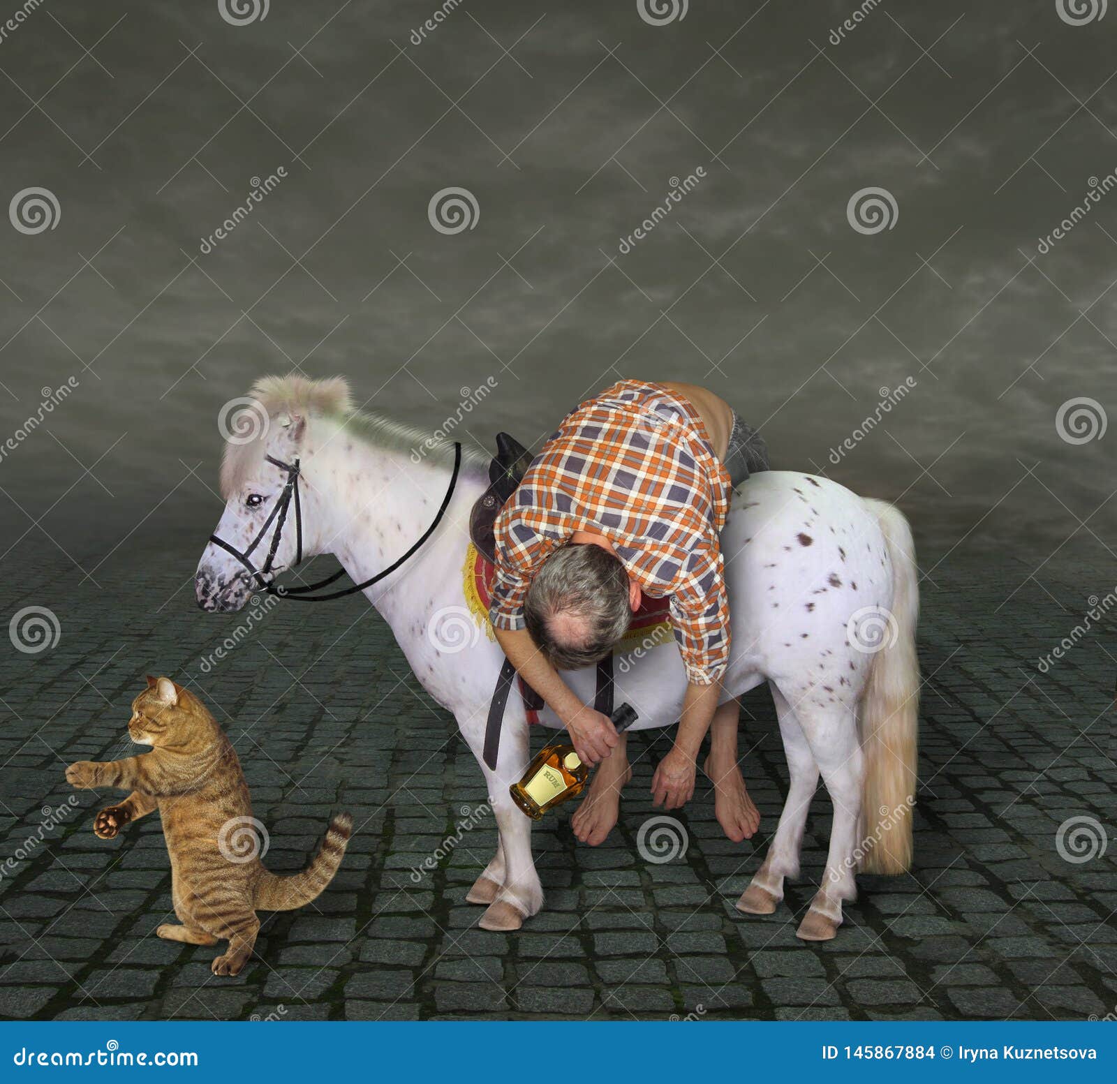 Homme Ivre Sur Un Poney Et Son Chat 2 Photo Stock Image Du Homme Vacances Homme Ivre Sur Un Poney Et Son Chat 2 Photo Stock Image Du Homme Vacances