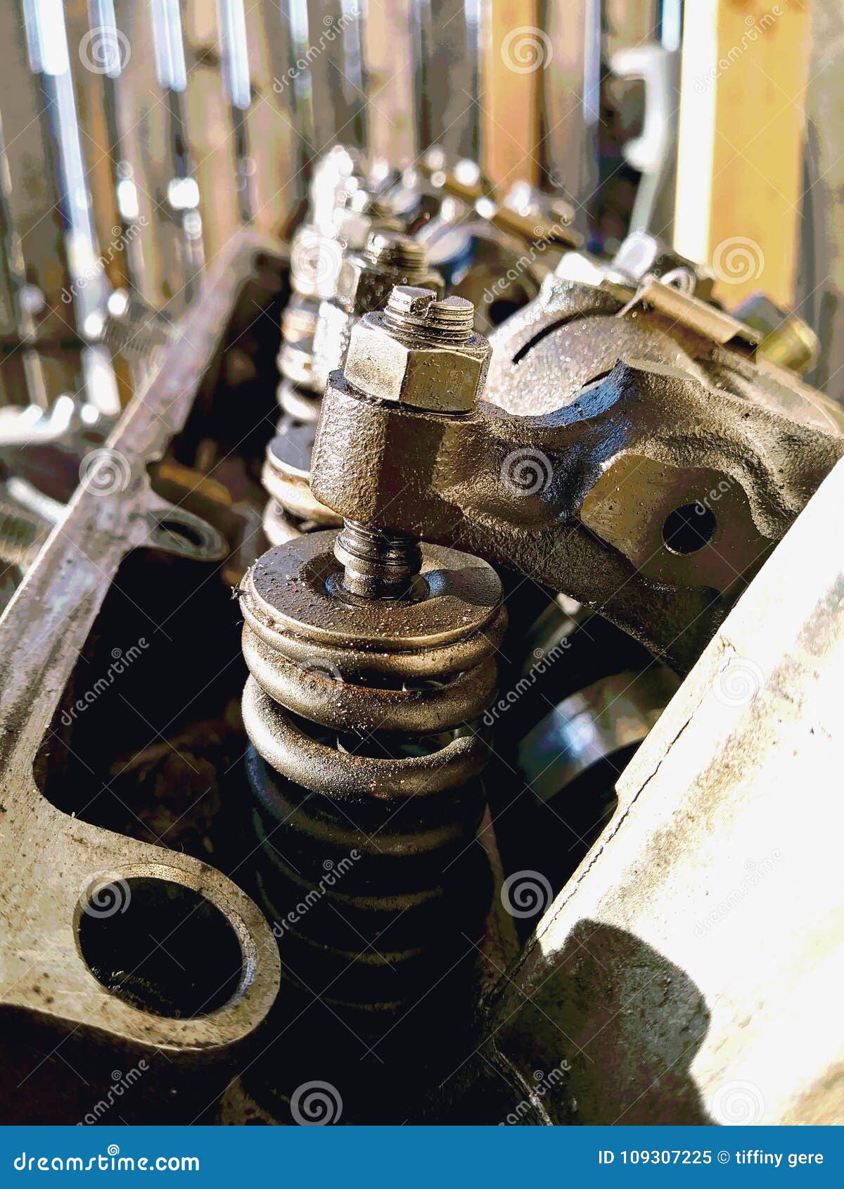 Engine Block Plugs 1.7 L Honda Engine