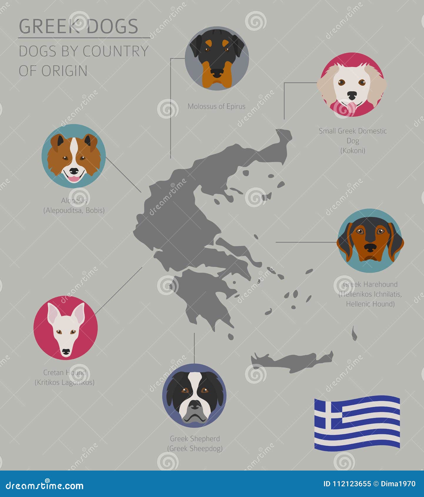 Honden Door Land Van Herkomst Griekse Hondrassen Infographic Templat Vector Illustratie Illustratie Bestaande Uit Info Leuk 112123655