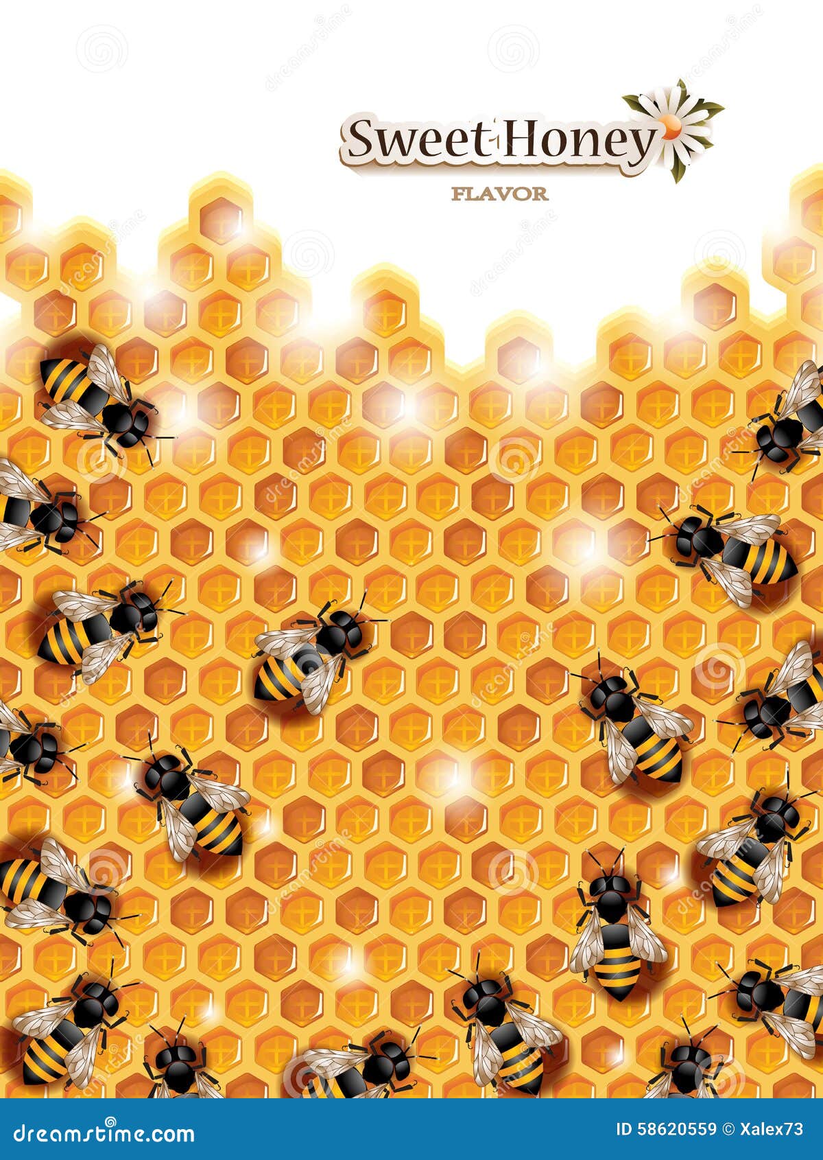 Honey bee in honeycomb on transparent background. bee walking on honey comb,  background cutout, generative ai 24724515 PNG