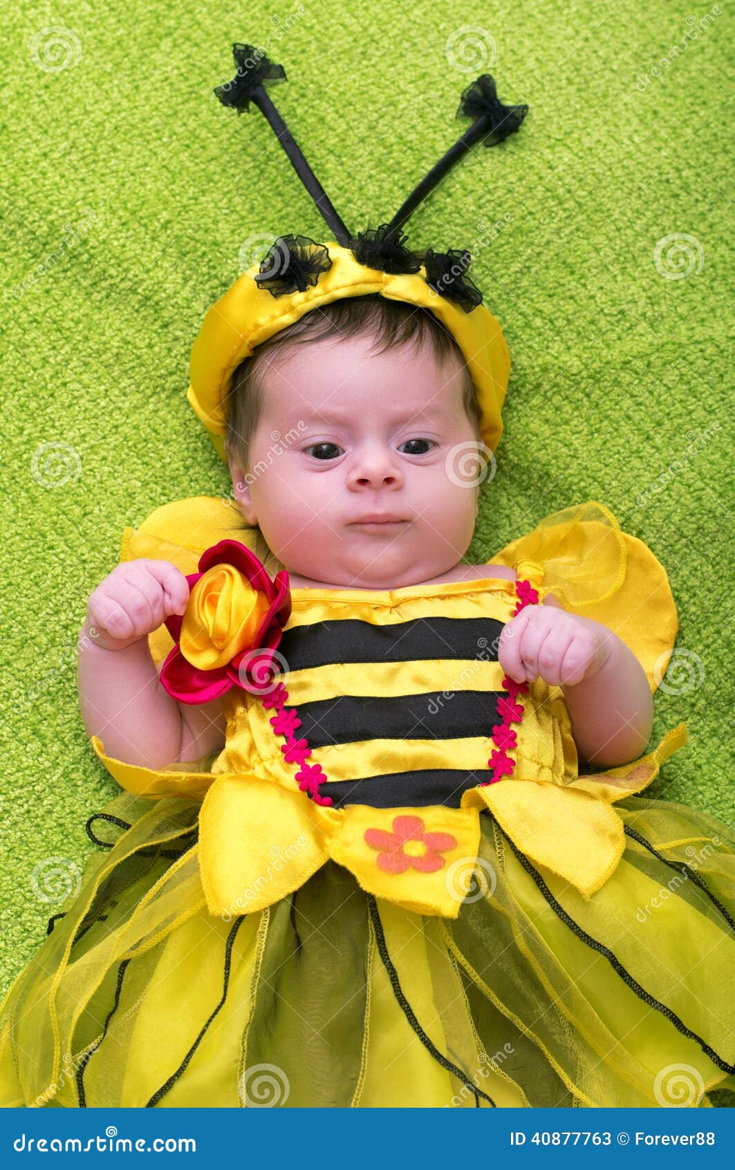 Honey Bee Baby stock image. Image of beauty, abstract 40877763