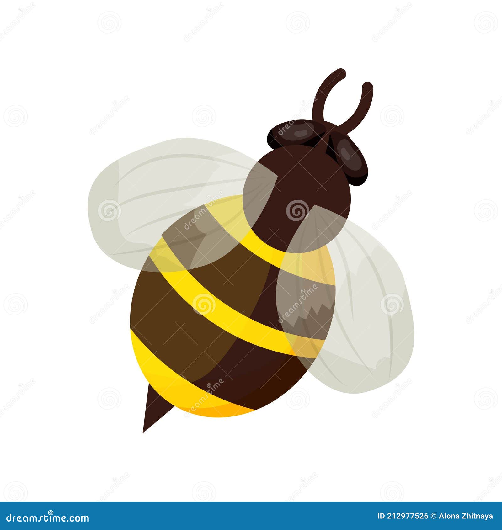 Honey Bee in Cartoon Style Isolated on White Background. Detailed