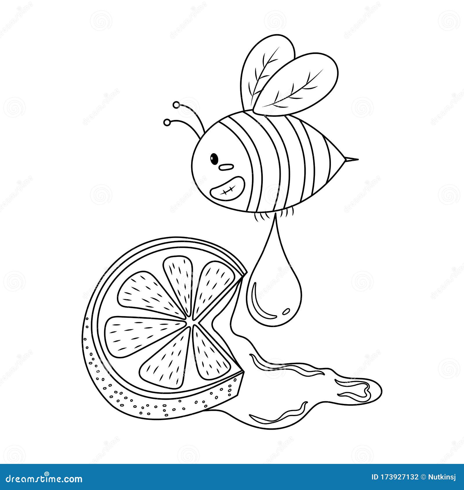 Bee Honey And Lemon Colorless Stock Vector - Illustration of mixture