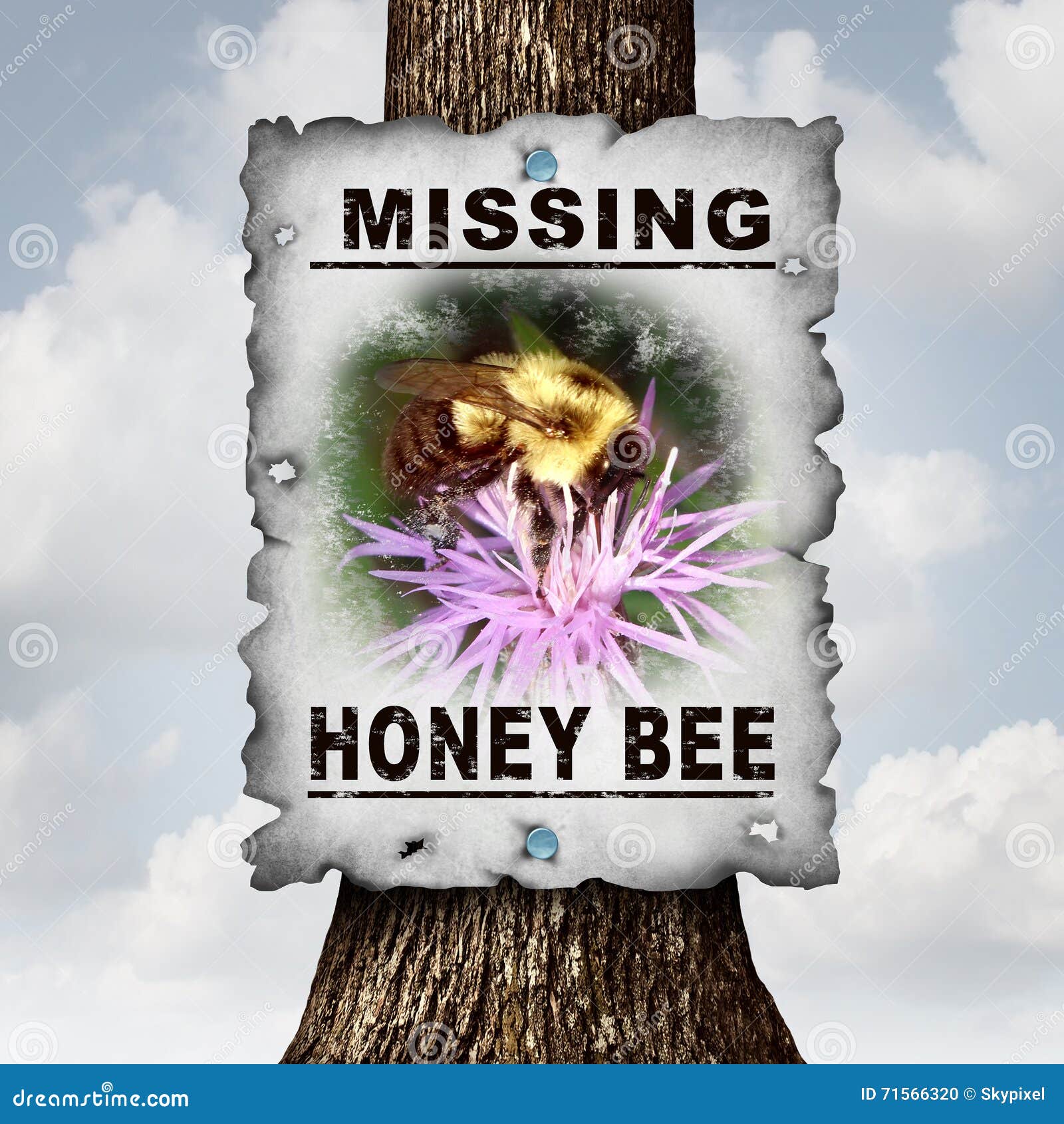 honey-bee-missing-concept-disappearing-bees-message-sign-as-agriculture-symbol-farming-pollination-crisis-as-decline-71566320.jpg