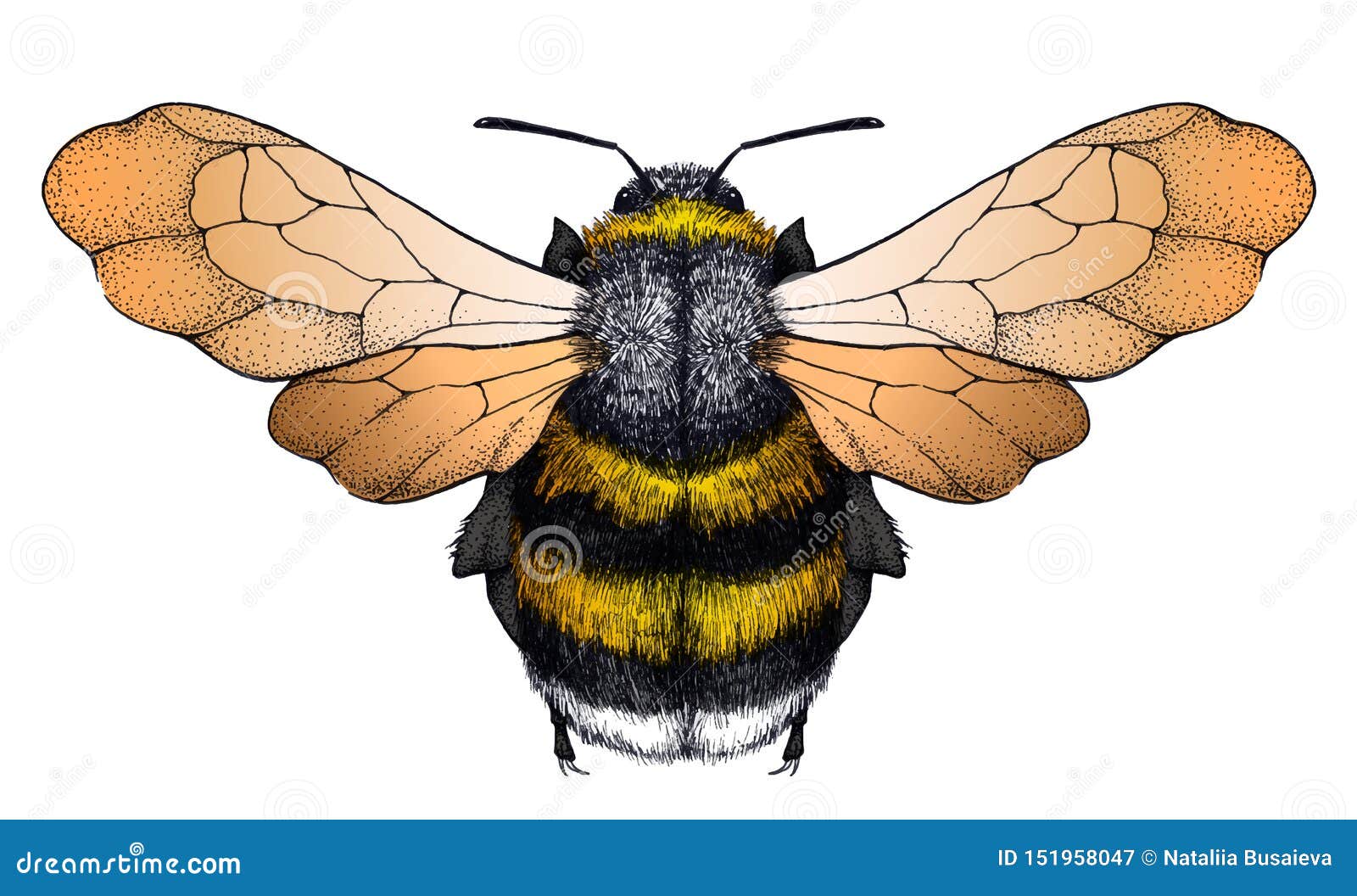 61 Ultimate Honey Bee Tattoo Designs For Best Inking  Psycho Tats