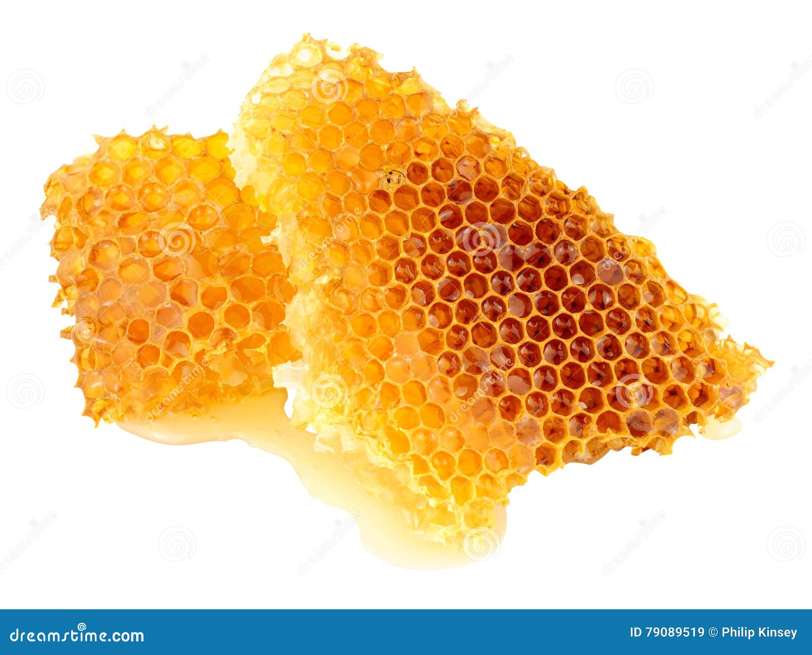 Honey Bee Wax imagem de stock. Imagem de naughty 79089519