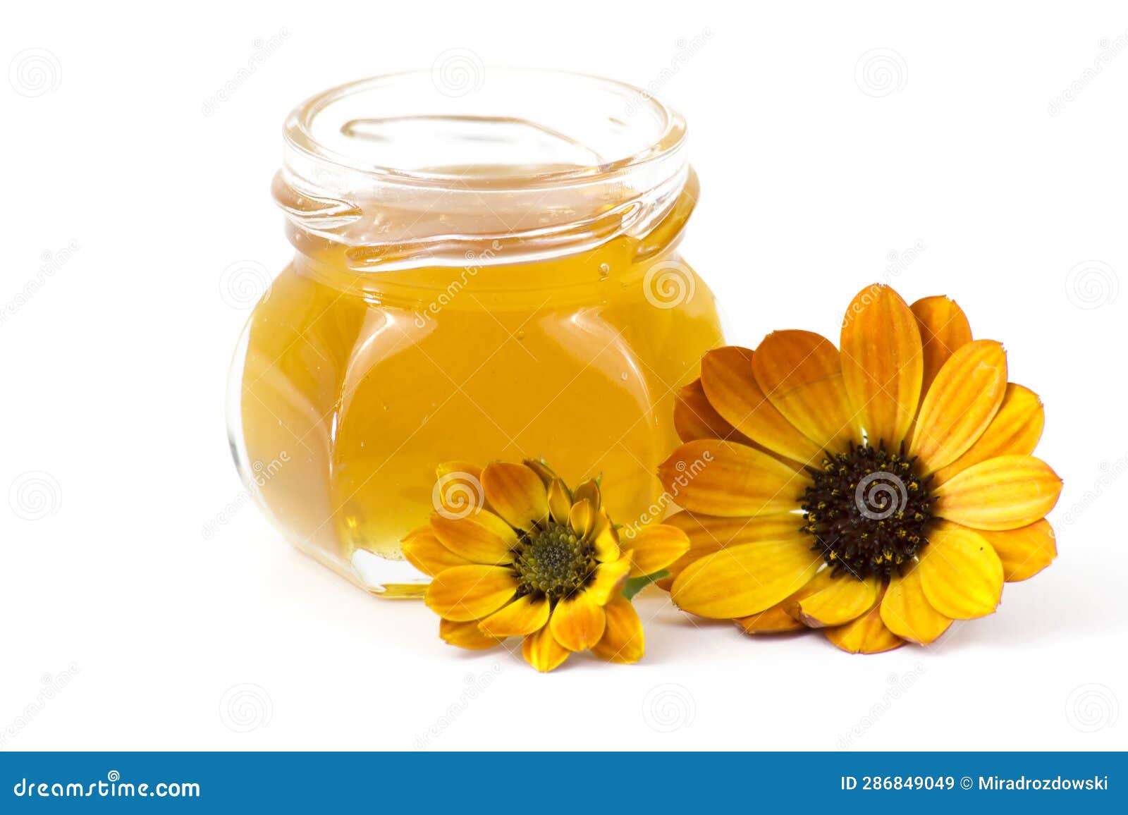 Honey and Calendula Flowers White Background Stock Image Image of