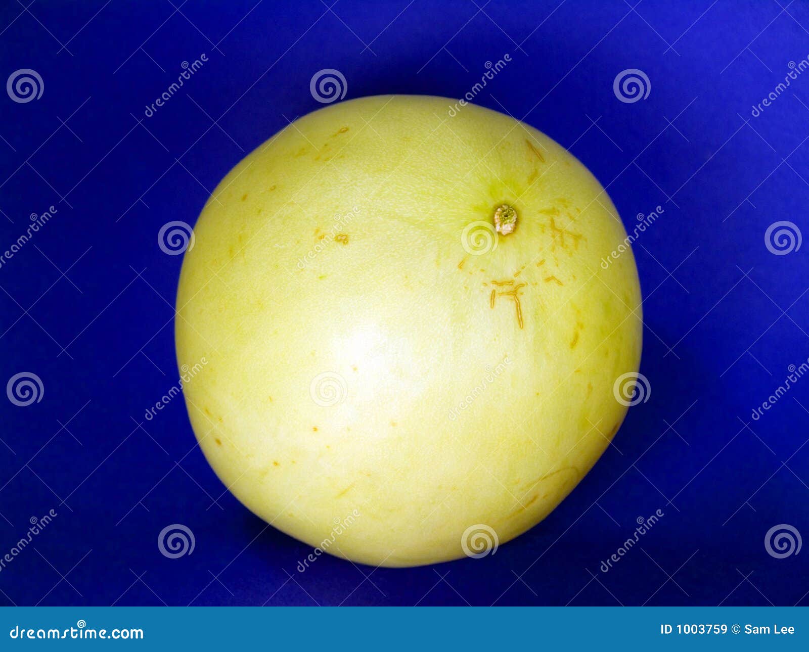 Honey Dew Melon 1 stock image. Image of vitamins, macro 1003759