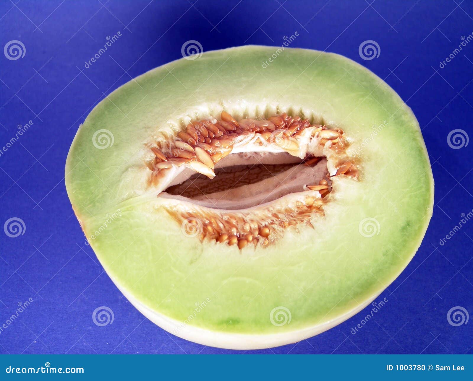 Honey Dew Melon 3 stock photo. Image of seeds, isolated 1003780