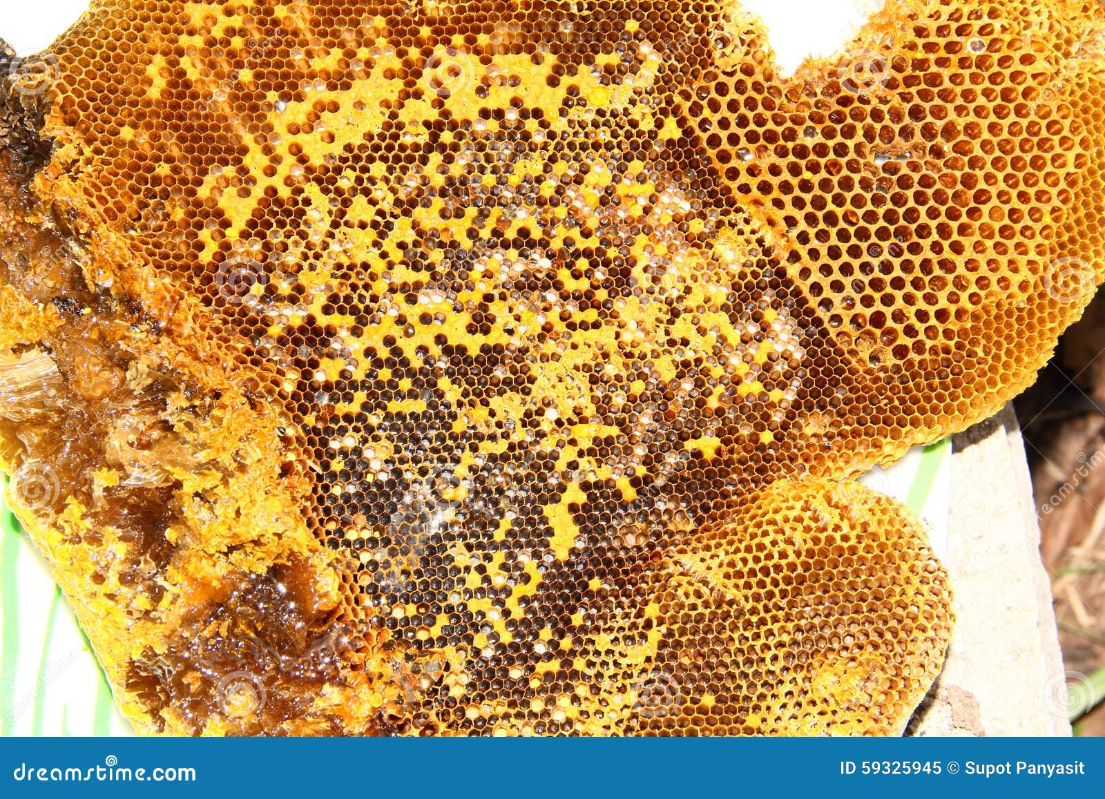 Honey from the hive making stock image. Image of food 59325945