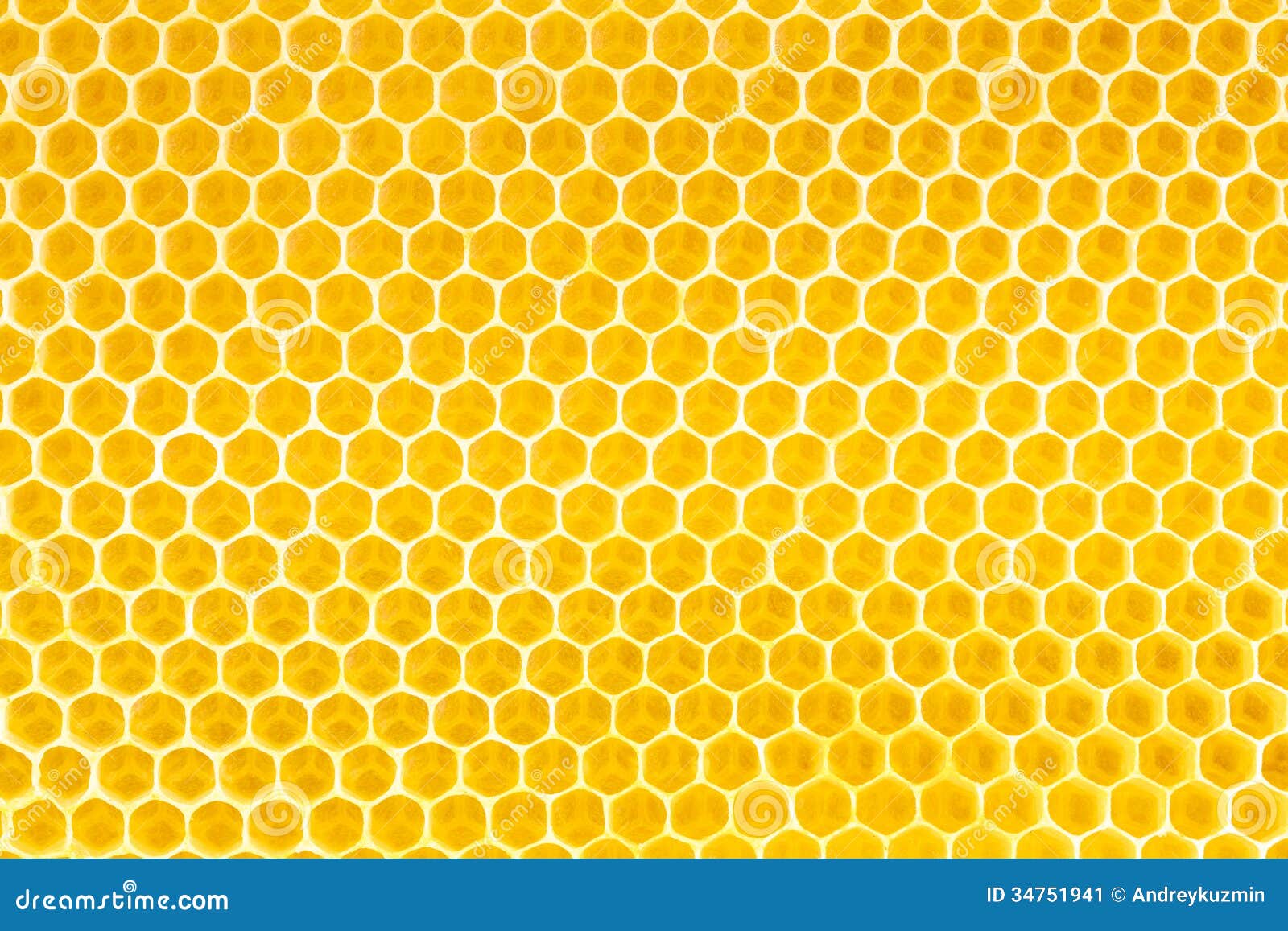 honey in honeycomb background