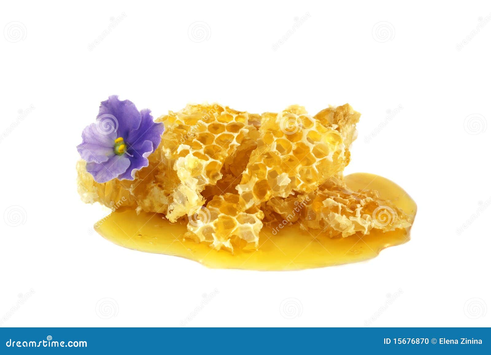Honey in with Flower Isolated on White Stock Photo Image