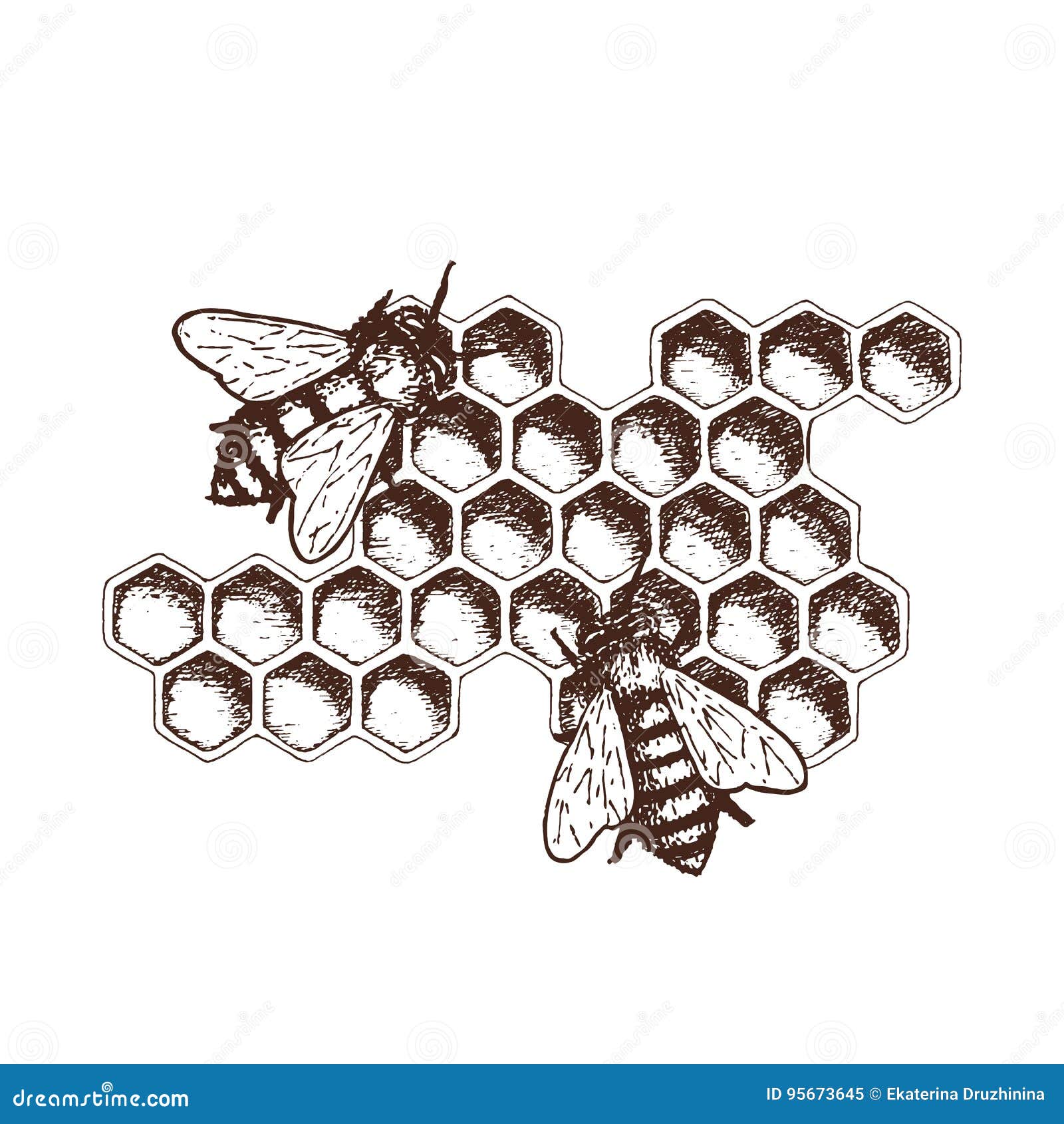 Free Vector  Hand drawn beehive drawing illustration