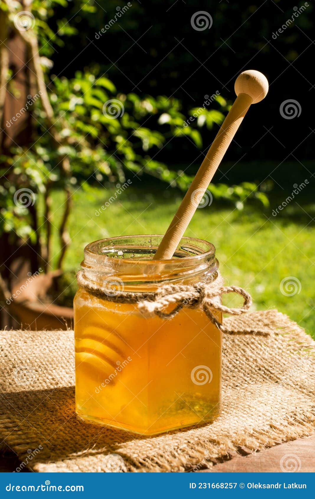 Honey jar with spoon stock image. Image of stick, gold 231668257