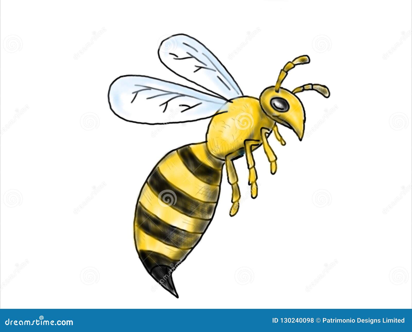 Bee Drawing png images | PNGWing-saigonsouth.com.vn