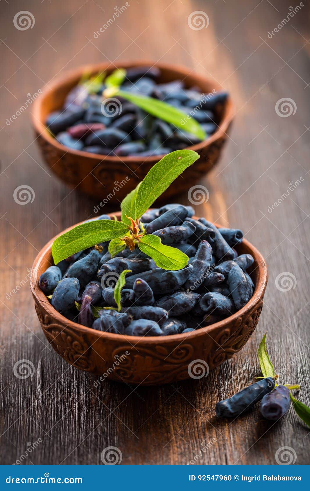 Honeyberry stock photo. Image of berry, antioxidants 92547960