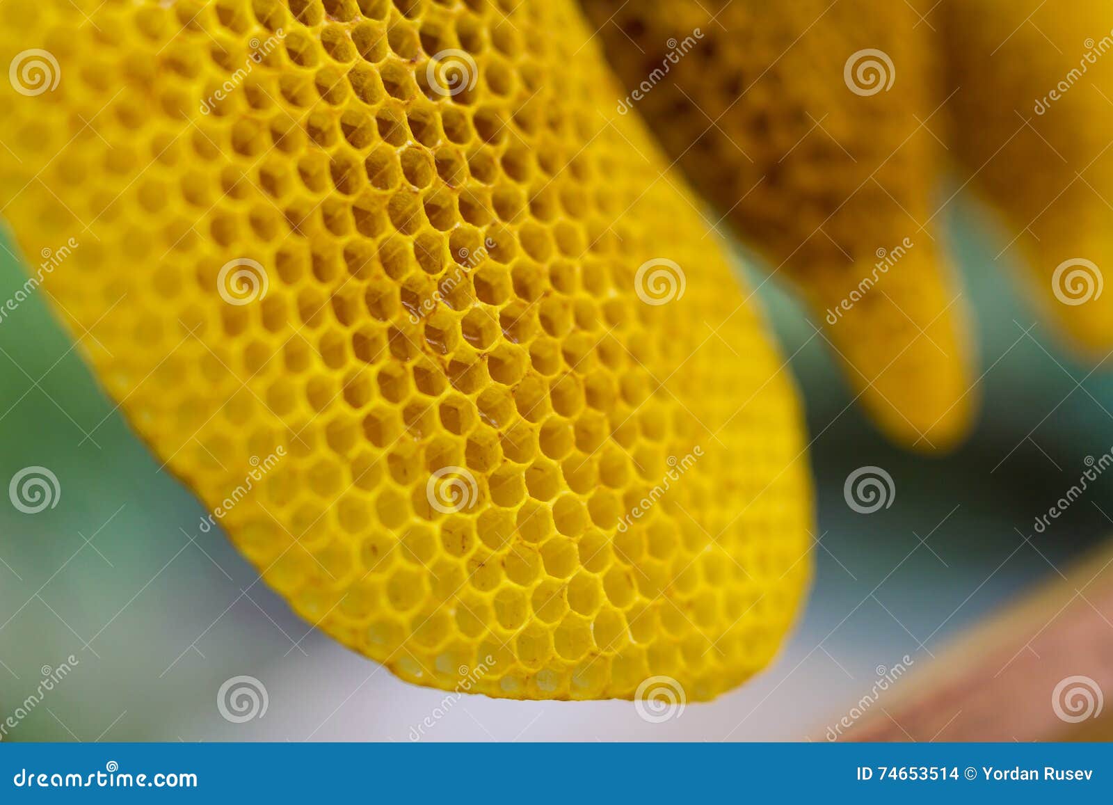 cells closeup stock photo. Image of healthy 74653514