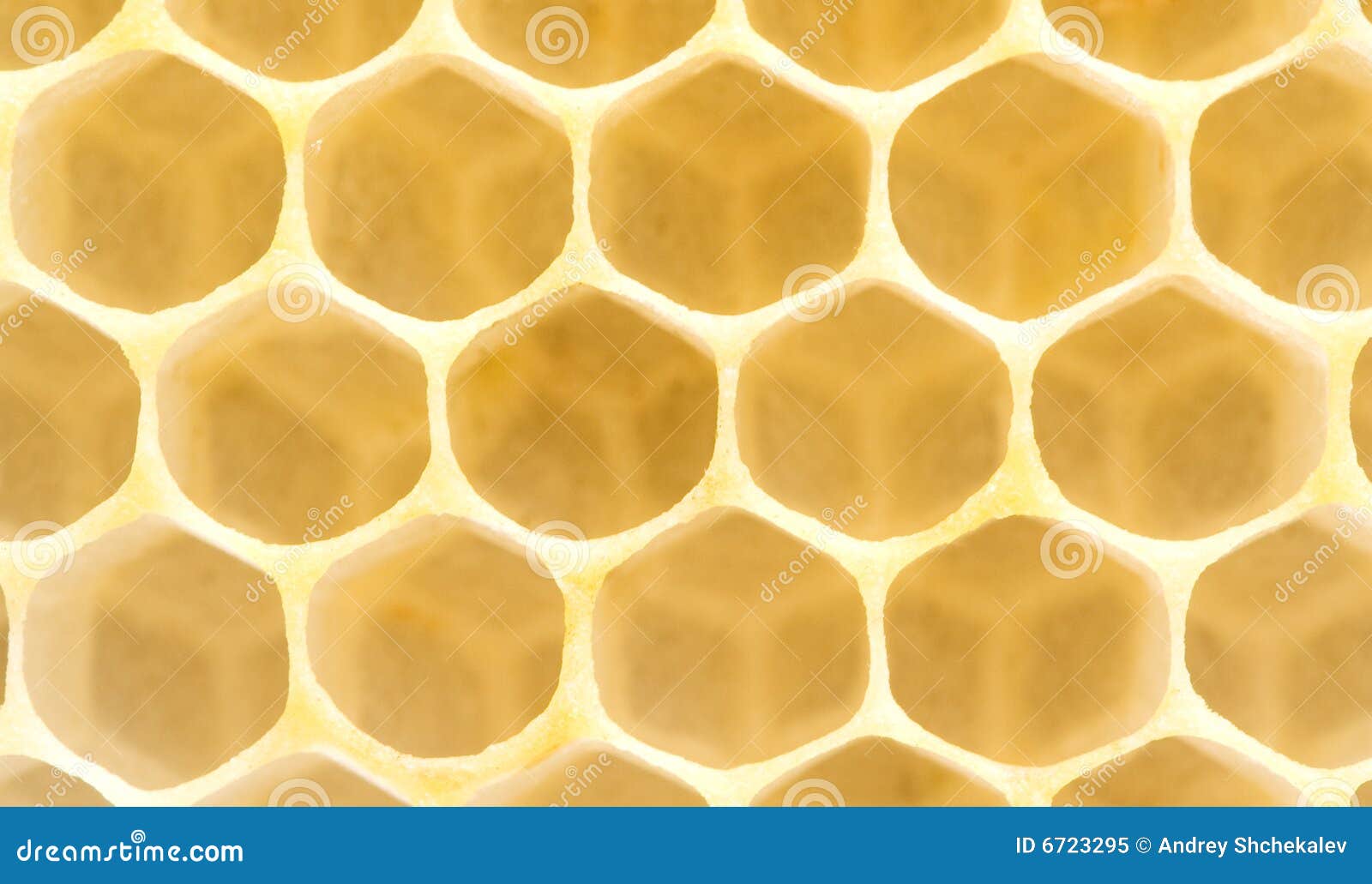Extremely Closeup Stock Image Image of closeup, hexagon