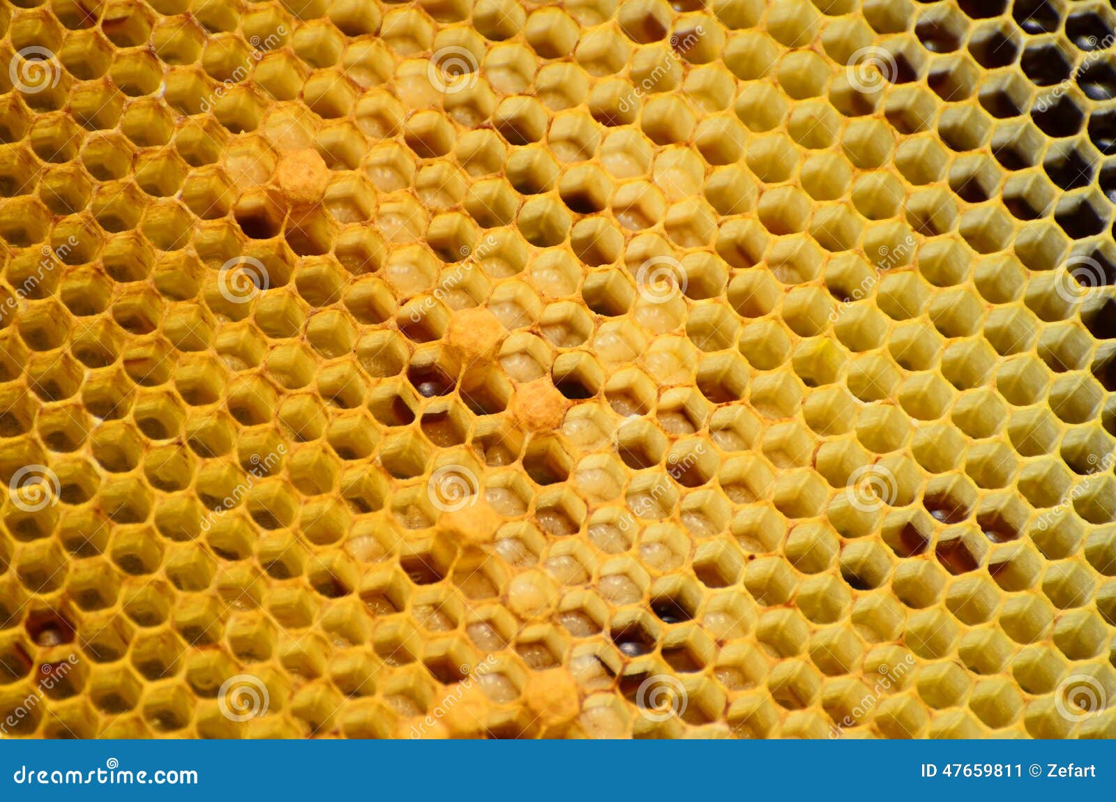 honeycomb pattern with honey forms