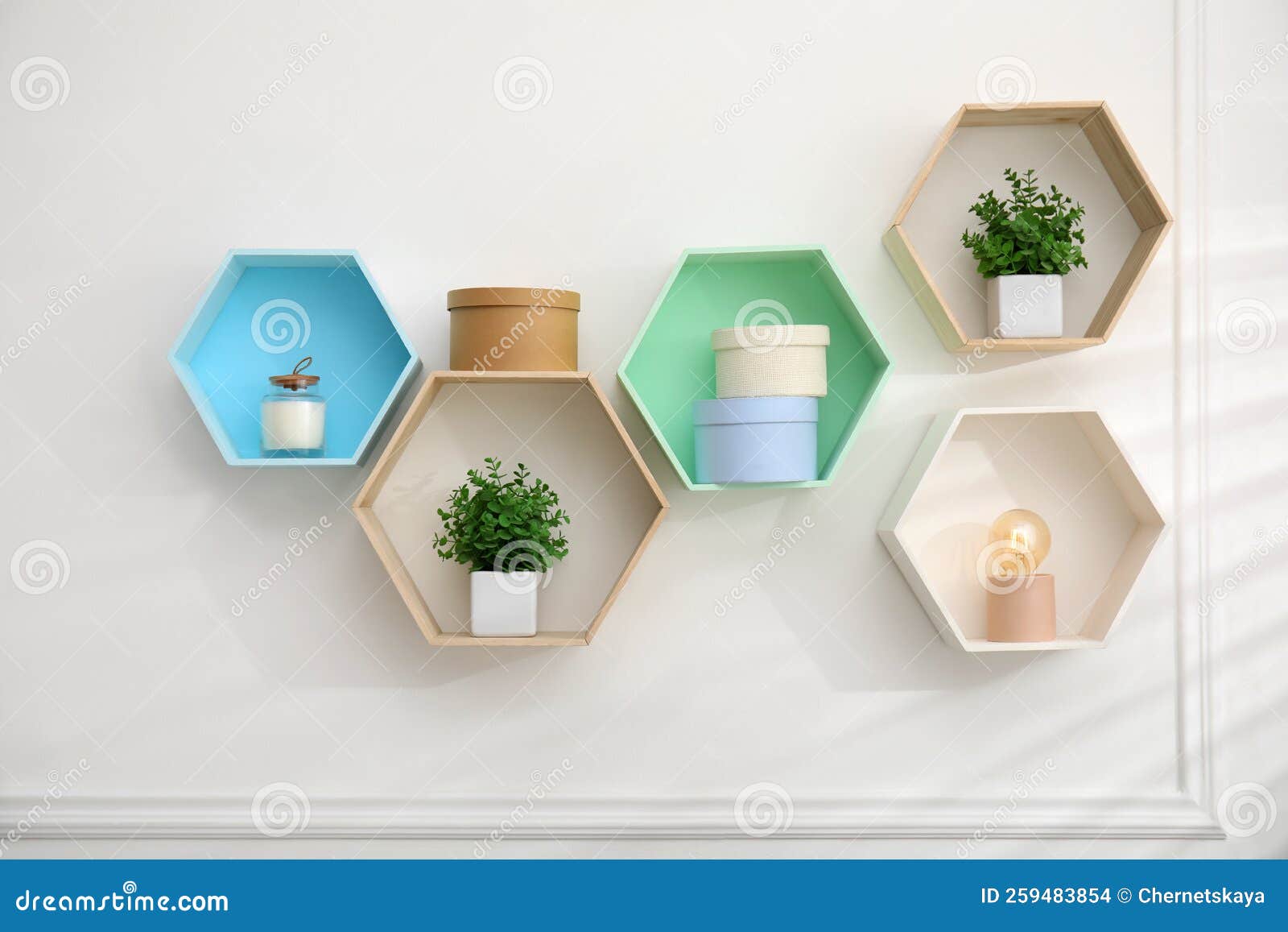 Shaped Shelves with Decorative Elements and Houseplants on