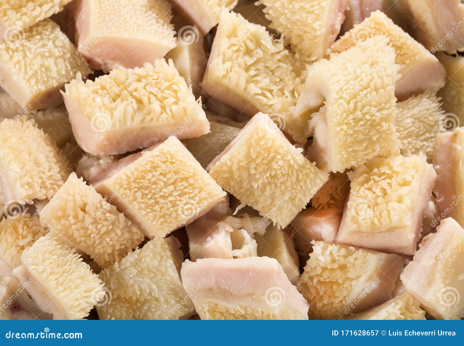 honeycomb tripe honeycomb tripe