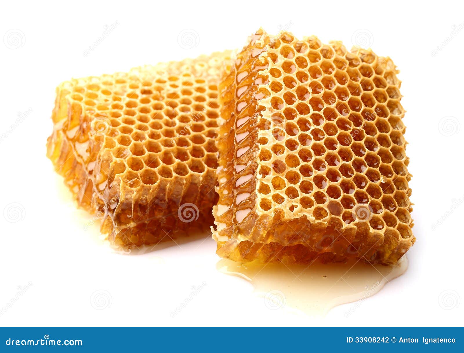 in closeup stock photo. Image of home, nature 33908242